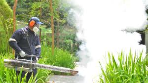 Best Pest Exclusion Services  in Val Verde Park, TX